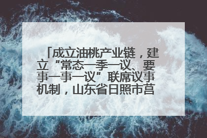 成立油桃产业链，建立“常态一季一议、要事一事一议”联席议事机制，山东省日照市莒县果庄镇——13个党小组“全周期”育果