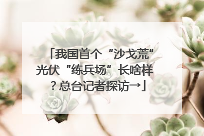 我国首个“沙戈荒”光伏“练兵场”长啥样？总台记者探访→