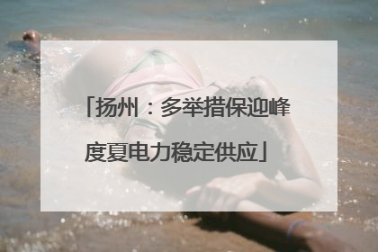 扬州：多举措保迎峰度夏电力稳定供应