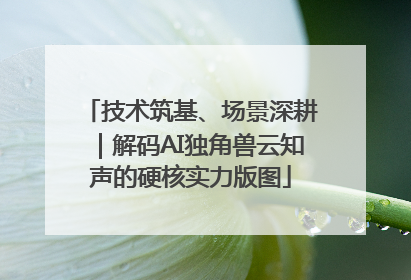 技术筑基、场景深耕｜解码AI独角兽云知声的硬核实力版图