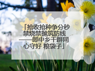 抢收抢种争分秒 禁烧禁抛筑防线——郎中乡干群同心守好 粮袋子