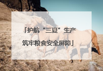 护航“三夏”生产 筑牢粮食安全屏障