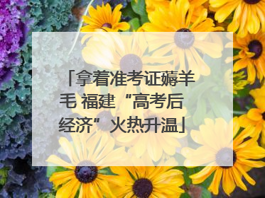 拿着准考证薅羊毛 福建“高考后经济”火热升温