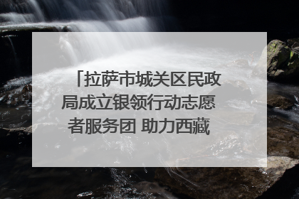 拉萨市城关区民政局成立银领行动志愿者服务团 助力西藏银发经济发展