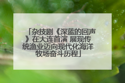 杂技剧《深蓝的回声》在大连首演 展现传统渔业迈向现代化海洋牧场奋斗历程