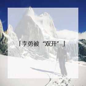 李勇被“双开”