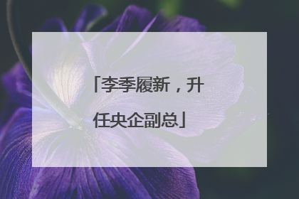 李季履新，升任央企副总