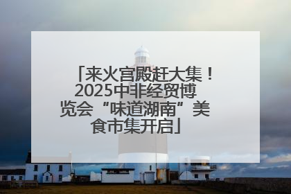 来火宫殿赶大集！2025中非经贸博览会“味道湖南”美食市集开启