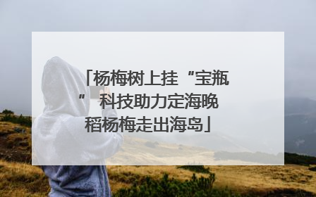 杨梅树上挂“宝瓶” 科技助力定海晚稻杨梅走出海岛