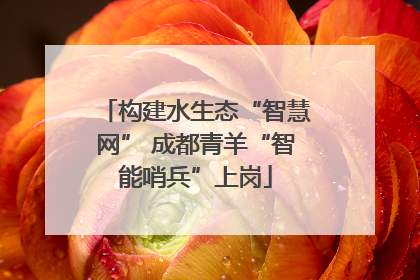 构建水生态“智慧网” 成都青羊“智能哨兵”上岗