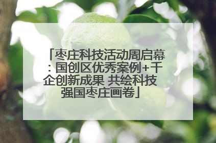 枣庄科技活动周启幕：国创区优秀案例+千企创新成果 共绘科技强国枣庄画卷
