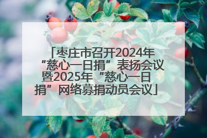 枣庄市召开2024年“慈心一日捐”表扬会议暨2025年“慈心一日捐”网络募捐动员会议
