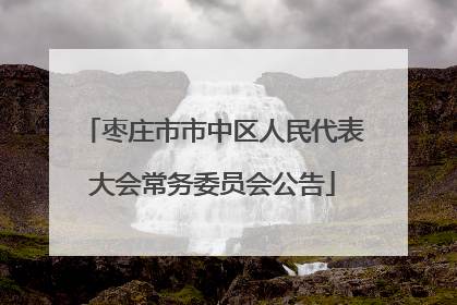 枣庄市市中区人民代表大会常务委员会公告