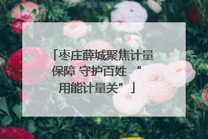 枣庄薛城聚焦计量保障 守护百姓 “用能计量关”