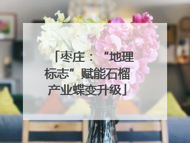 枣庄：“地理标志”赋能石榴产业蝶变升级