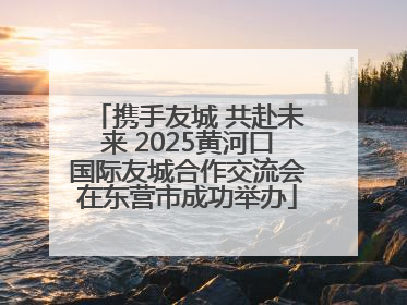 携手友城 共赴未来 2025黄河口国际友城合作交流会在东营市成功举办