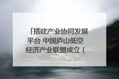 搭建产业协同发展平台 中国庐山低空经济产业联盟成立（组图｜视频）