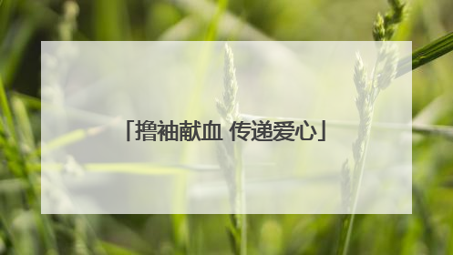 撸袖献血 传递爱心