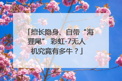 擅长隐身、自带“海狸尾” 彩虹-7无人机究竟有多牛？