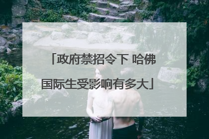政府禁招令下 哈佛国际生受影响有多大