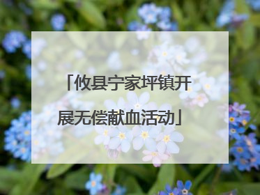 攸县宁家坪镇开展无偿献血活动