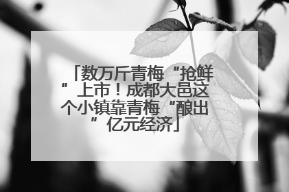 数万斤青梅“抢鲜”上市！成都大邑这个小镇靠青梅“酿出”亿元经济