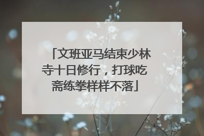 文班亚马结束少林寺十日修行，打球吃斋练拳样样不落