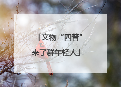 文物“四普”来了群年轻人