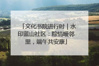 文化书院进行时｜水印蓝山社区：粽情暖邻里，端午共安康