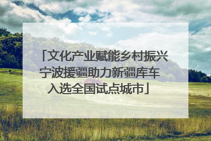 文化产业赋能乡村振兴 宁波援疆助力新疆库车入选全国试点城市