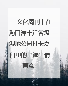 文化周刊丨在海口潭丰洋省级湿地公园打卡夏日里的“湿”情画意