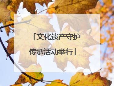文化遗产守护传承活动举行