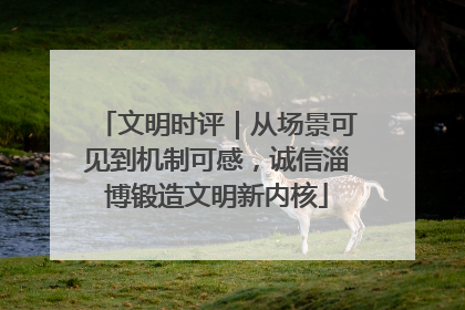文明时评｜从场景可见到机制可感，诚信淄博锻造文明新内核