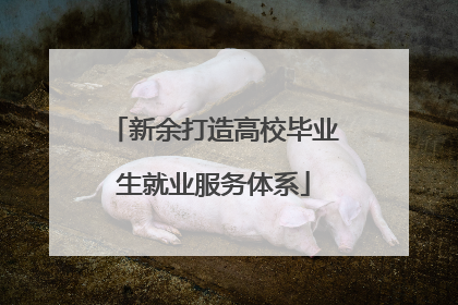 新余打造高校毕业生就业服务体系