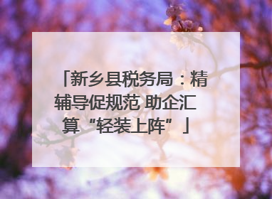 新乡县税务局：精辅导促规范 助企汇算“轻装上阵”