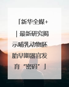 新华全媒+｜最新研究揭示哺乳动物胚胎早期器官发育“密码”