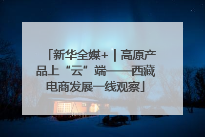 新华全媒+｜高原产品上“云”端——西藏电商发展一线观察