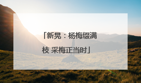 新晃：杨梅缀满枝 采梅正当时