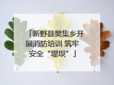 新野县樊集乡开展消防培训 筑牢安全“堤坝”