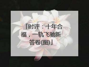 时评：十年合福，一轨飞驰新答卷(图)
