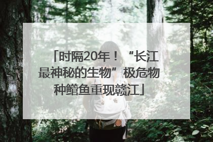 时隔20年！“长江最神秘的生物”极危物种鳤鱼重现赣江