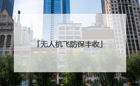 无人机飞防保丰收