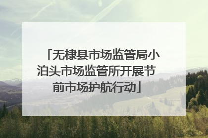 无棣县市场监管局小泊头市场监管所开展节前市场护航行动