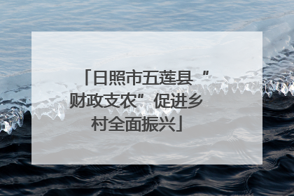 日照市五莲县“财政支农”促进乡村全面振兴