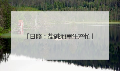 日照：盐碱地里生产忙