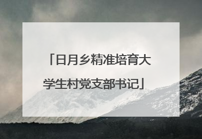 日月乡精准培育大学生村党支部书记