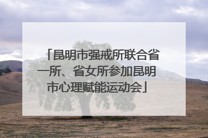 昆明市强戒所联合省一所、省女所参加昆明市心理赋能运动会