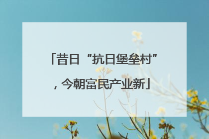昔日“抗日堡垒村”，今朝富民产业新