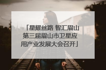 星耀丝路 智汇眉山 第三届眉山市卫星应用产业发展大会召开