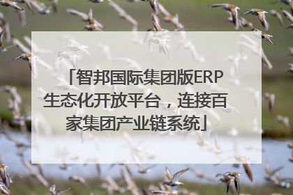 智邦国际集团版ERP生态化开放平台，连接百家集团产业链系统